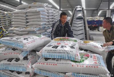 從化肥大國到有機(jī)農(nóng)業(yè)強(qiáng)國 中國農(nóng)業(yè)可持續(xù)發(fā)展的轉(zhuǎn)型之路